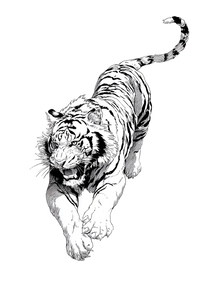 Angry Tiger Tattoo V19 Vinyl Car Decal Sticker – Waterproof & UV-Resistant 4.32"