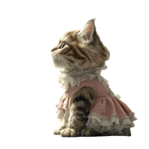 Fluffy Tabby Cat V11 Vinyl Car Decal Sticker – Waterproof & UV-Resistant 6.826666666666667"