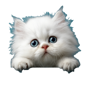 Fuzzy Persian Kitten Vinyl Car Decal Sticker – Waterproof & UV-Resistant 3.4133333333333336"