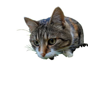 Cat Playing Lawn V2 Vinyl Car Decal Sticker – Waterproof & UV-Resistant 3.4133333333333336"