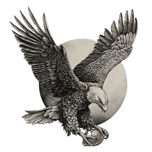 Eagle With Medal Vinyl Car Decal Sticker – Waterproof & UV-Resistant 6.826666666666667"