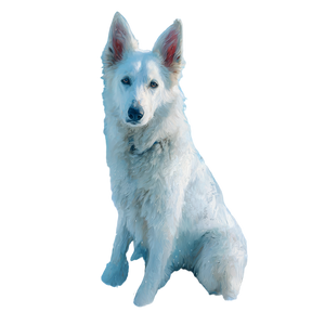 White Snow Dog V2 Vinyl Car Decal Sticker – Waterproof & UV-Resistant 3.4133333333333336"