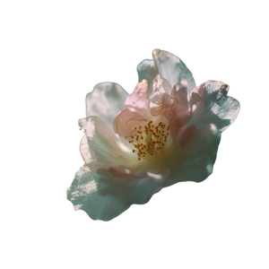 Dissolving Jasmine Flower Vinyl Car Decal Sticker – Waterproof & UV-Resistant 3.4133333333333336"