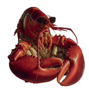 Sleezy Lobster V3 Vinyl Car Decal Sticker – Waterproof & UV-Resistant 3.4133333333333336"