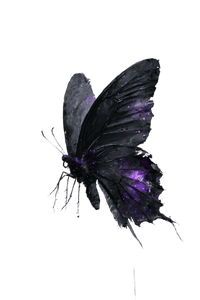 Tattered Butterfly V5 Vinyl Car Decal Sticker – Waterproof & UV-Resistant 4.4
