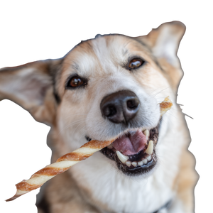 Dog Eating Treat V4 Vinyl Car Decal Sticker – Waterproof & UV-Resistant 6.826666666666667"