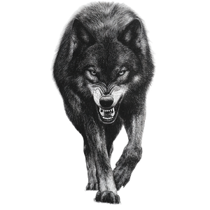 Dark Wolf Prowling Vinyl Car Decal Sticker – Waterproof & UV-Resistant 3.4133333333333336"