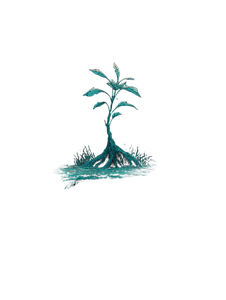 Intelligent Plant Lifeform Vinyl Car Decal Sticker – Waterproof & UV-Resistant 8.213333333333333"