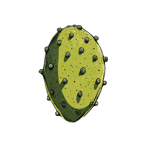 Prickly Pear Fruit V3 Vinyl Car Decal Sticker – Waterproof & UV-Resistant 3.4133333333333336"