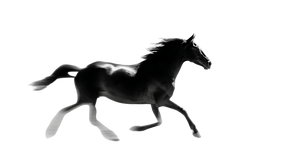 Galloping Horse Silhouette V7 Vinyl Car Decal Sticker – Waterproof & UV-Resistant 2.72"