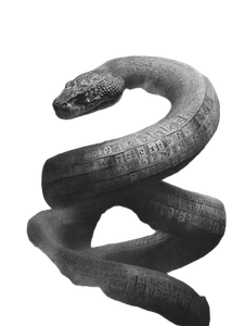 Numerical Serpent V2 Vinyl Car Decal Sticker – Waterproof & UV-Resistant 8.213333333333333"