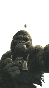Bigfoot With Camera Vinyl Car Decal Sticker – Waterproof & UV-Resistant 9.706666666666667"