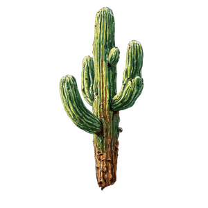 Desert Cactus Illustration V3 Vinyl Car Decal Sticker – Waterproof & UV-Resistant 6.826666666666667"
