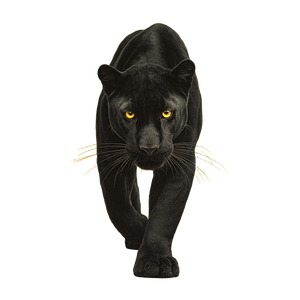 Black Panther Illustration V5 Vinyl Car Decal Sticker – Waterproof & UV-Resistant 6.826666666666667"