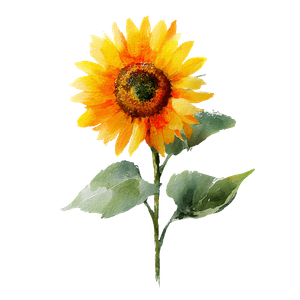 Watercolor Sunflower V2 Vinyl Car Decal Sticker – Waterproof & UV-Resistant 3.4133333333333336"