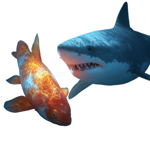 Shark And Koi V2 Vinyl Car Decal Sticker – Waterproof & UV-Resistant 6.826666666666667"