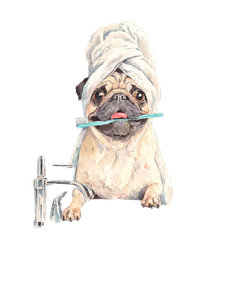 Cheerful Pug Portrait V3 Vinyl Car Decal Sticker – Waterproof & UV-Resistant 4.0"