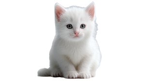 Realistic Baby Cat Vinyl Car Decal Sticker – Waterproof & UV-Resistant 5.4