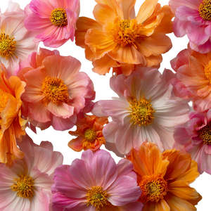 Pink And Orange Flowers Vinyl Car Decal Sticker – Waterproof & UV-Resistant 3.4133333333333336"