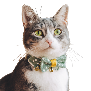 Cute Collared Cat Vinyl Car Decal Sticker – Waterproof & UV-Resistant 3.4133333333333336"