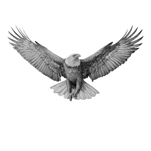 Bald Eagle Tattoo V4 Vinyl Car Decal Sticker – Waterproof & UV-Resistant 3.4133333333333336"