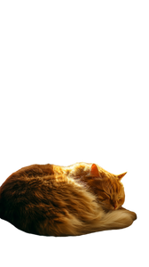 Fluffy Cat Nap V2 Vinyl Car Decal Sticker – Waterproof & UV-Resistant 4.8533333333333335"