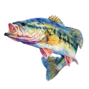 Jumping Bass Fish V3 Vinyl Car Decal Sticker – Waterproof & UV-Resistant 3.4133333333333336"