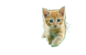 Yellow Anime Kitten Vinyl Car Decal Sticker – Waterproof & UV-Resistant 2.8