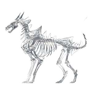 Alien Dog Skeleton Vinyl Car Decal Sticker – Waterproof & UV-Resistant 3.4133333333333336"