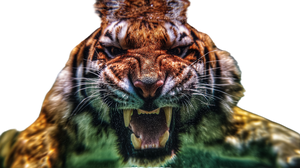 Fierce Underwater Tiger V2 Vinyl Car Decal Sticker – Waterproof & UV-Resistant 5.4
