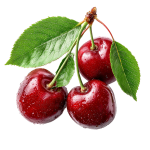 Fresh Ripe Cherries V3 Vinyl Car Decal Sticker – Waterproof & UV-Resistant 3.4133333333333336"