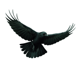Crow In Smoke Vinyl Car Decal Sticker – Waterproof & UV-Resistant 6.826666666666667"