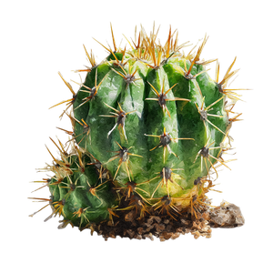Watercolor Cactus V3 Vinyl Car Decal Sticker – Waterproof & UV-Resistant 6.826666666666667"