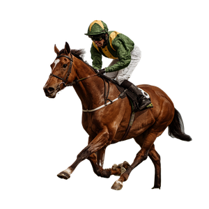 Sprinting Horse Jockey V3 Vinyl Car Decal Sticker – Waterproof & UV-Resistant 6.826666666666667"