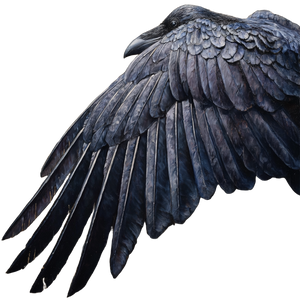 Raven Wings V2 Vinyl Car Decal Sticker – Waterproof & UV-Resistant 6.826666666666667"