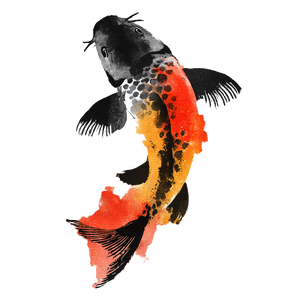 Koi Carp Clipart V2 Vinyl Car Decal Sticker – Waterproof & UV-Resistant 3.4133333333333336" Koi Carp Clipart V2 Vinyl Car Decal Sticker – Waterproof & UV-Resistant 3.4133333333333336"