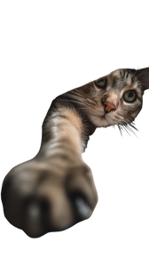 Curious Cat Paw Vinyl Car Decal Sticker – Waterproof & UV-Resistant 9.706666666666667"