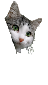 A Cat V68 Vinyl Car Decal Sticker – Waterproof & UV-Resistant 9.706666666666667"