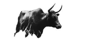 Abstract Nguni Cow Vinyl Car Decal Sticker – Waterproof & UV-Resistant 2.56"
