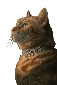 Ginger Cat Elegance V2 Vinyl Car Decal Sticker – Waterproof & UV-Resistant 8.96"