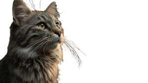 Street-Wise Tabby Cat V3 Vinyl Car Decal Sticker – Waterproof & UV-Resistant 5.4