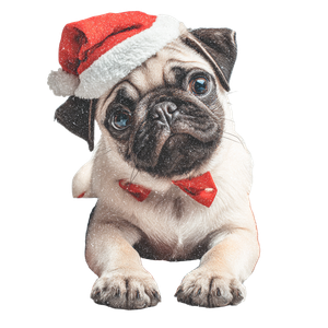 Christmas Pug Vinyl Car Decal Sticker – Waterproof & UV-Resistant 3.4133333333333336"