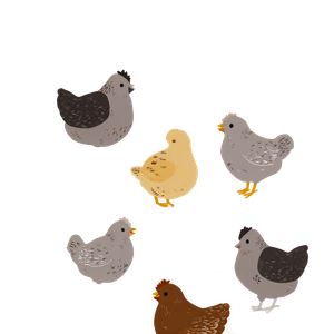 Chickens Pattern V2 Vinyl Car Decal Sticker – Waterproof & UV-Resistant 3.4133333333333336"