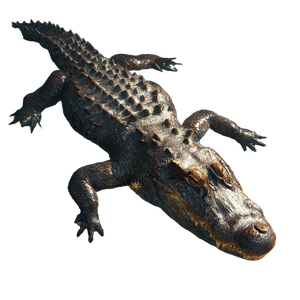Fantasy Alligator Float V2 Vinyl Car Decal Sticker – Waterproof & UV-Resistant 3.4133333333333336"