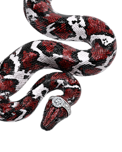 Gucci Boa Constrictor V14 Vinyl Car Decal Sticker – Waterproof & UV-Resistant 8.0"