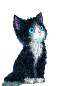 Starry Night Cat V23 Vinyl Car Decal Sticker – Waterproof & UV-Resistant 4.0"