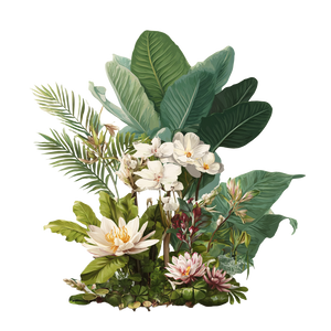 Tropical Flora V2 Vinyl Car Decal Sticker – Waterproof & UV-Resistant 3.4133333333333336"