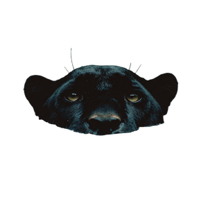 Black Panther Peaking Vinyl Car Decal Sticker – Waterproof & UV-Resistant 3.4133333333333336"