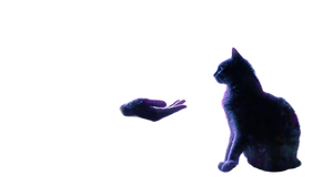 Healing Light Cat Vinyl Car Decal Sticker – Waterproof & UV-Resistant 5.4