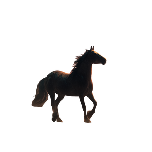 Horse With Fireworks Vinyl Car Decal Sticker – Waterproof & UV-Resistant 6.826666666666667"